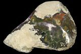 Purple Amethyst Geode - Uruguay #87448-3